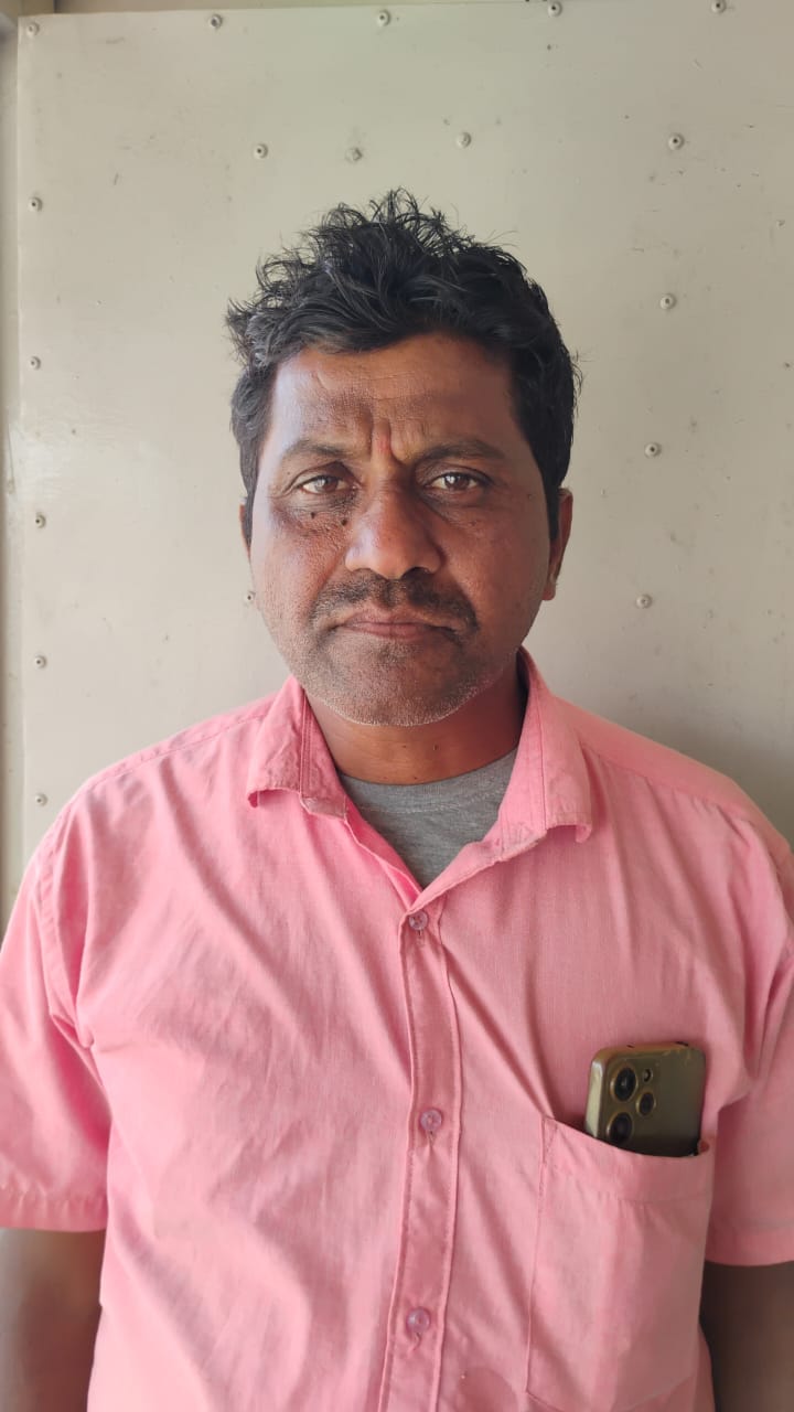 सदस्य